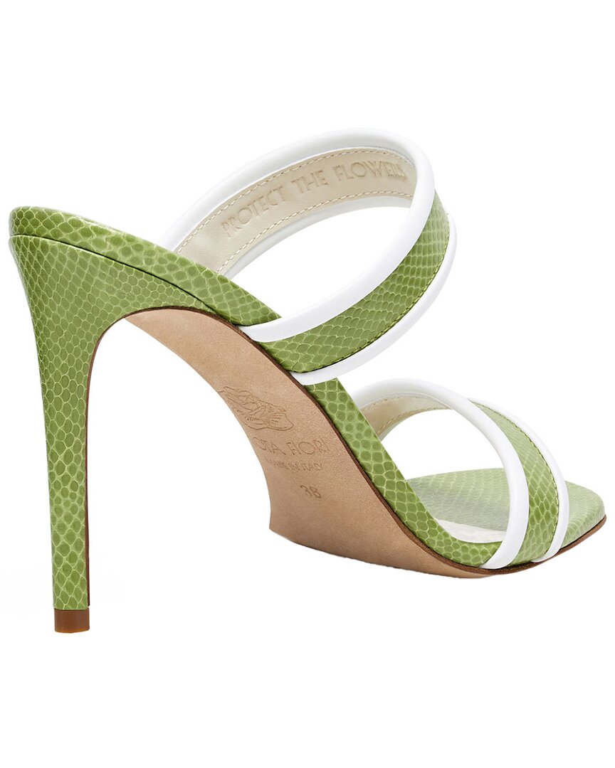 zamia sandal