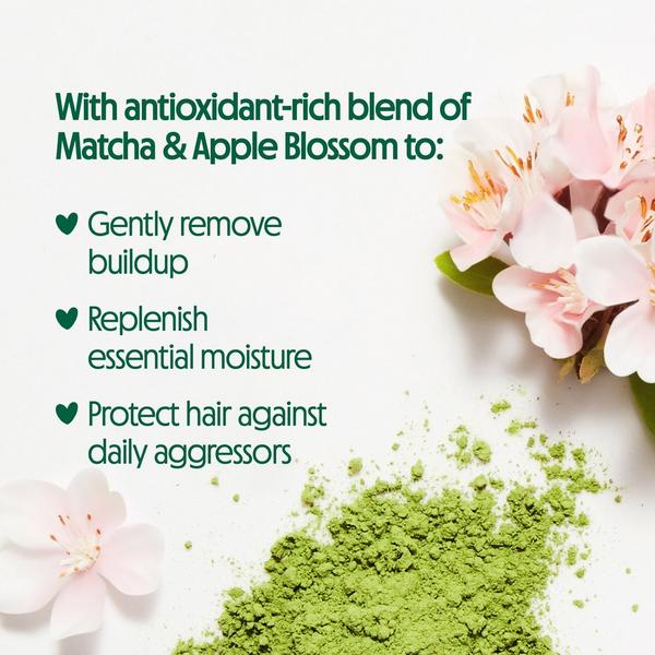 Matcha Green Tea & Wild Apple Blossom Ultimate Nutrition Shampoo