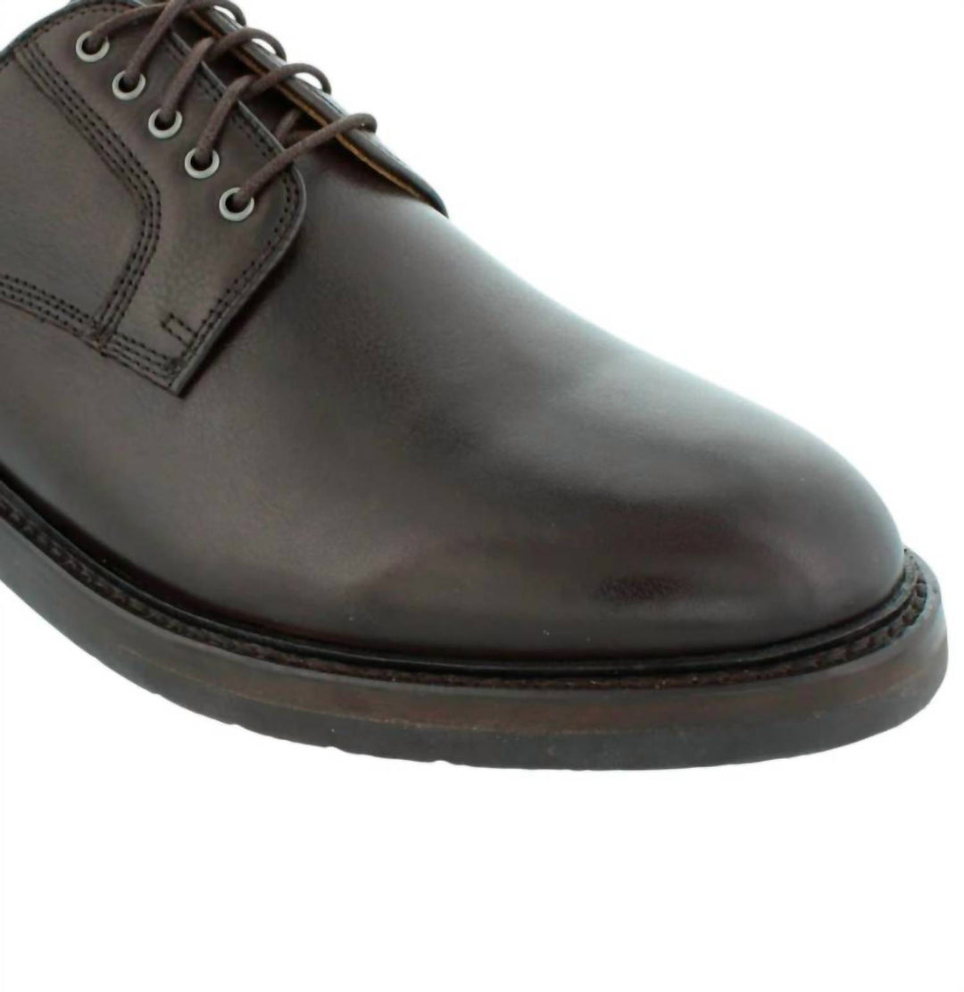 men's alpha shoes in brown