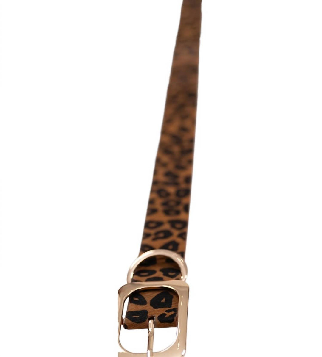 women's vince leather belt in cheetah