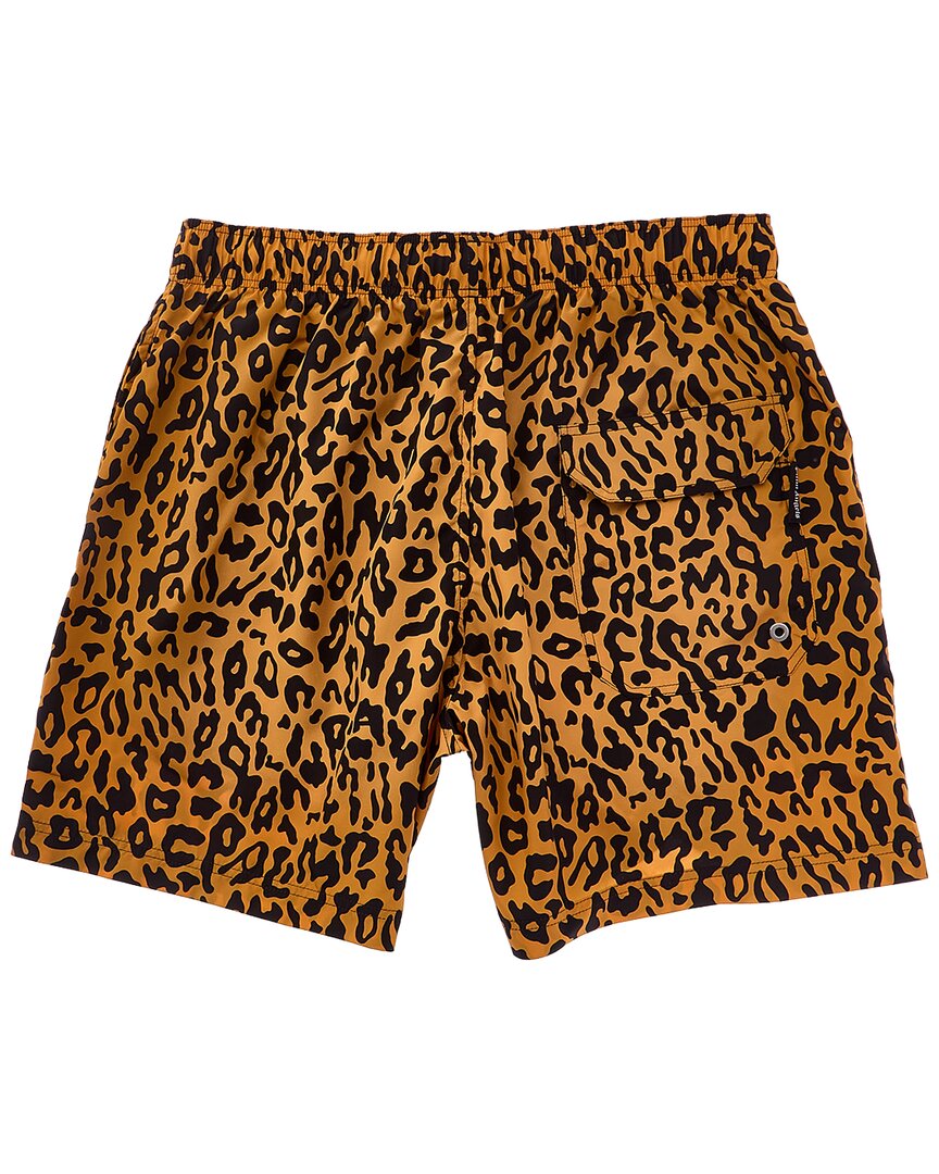 cheetah swim short