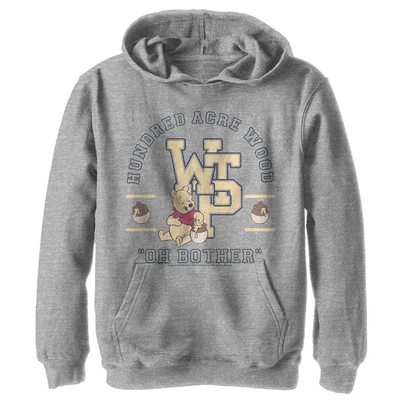 Boy's Winnie the Pooh Bear Collegiate Pull Over Hoodie