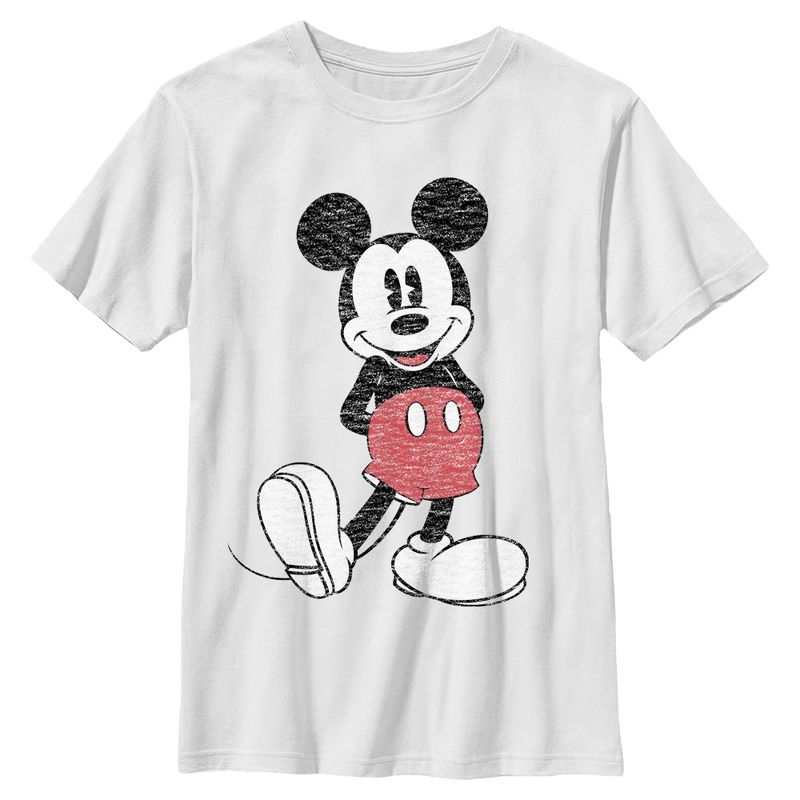 Boys Mickey & Friends Distressed Icon Pose T Shirt