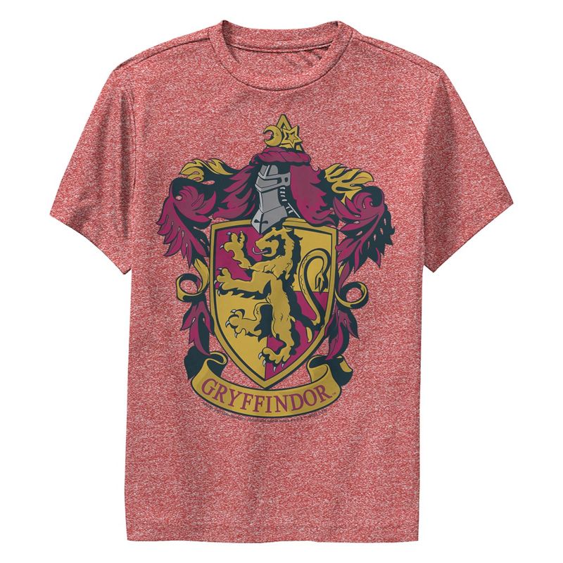 تي شيرت هاري بوتر جريفندور المزخرف للأولاد