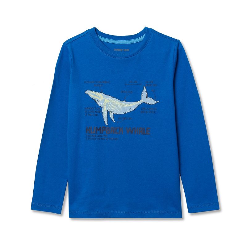 تي شيرت Lands' End Kids Husky بأكمام طويلة ورسومات جرافيكية