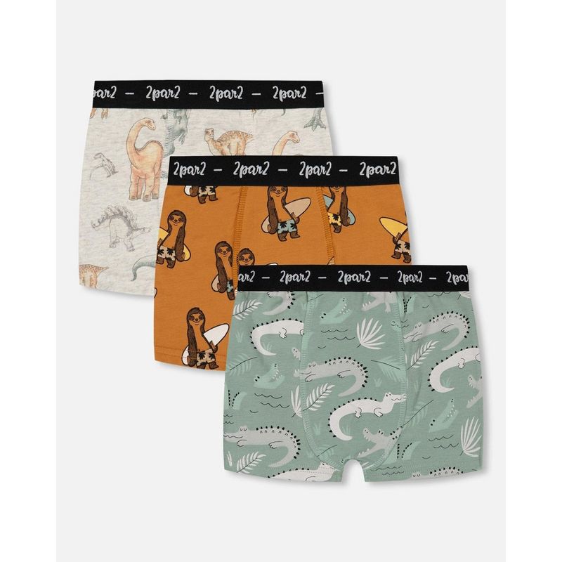 Deux par Deux Boy Printed Organic Cotton Boxer Shorts (Pack Of 3) Multicolored