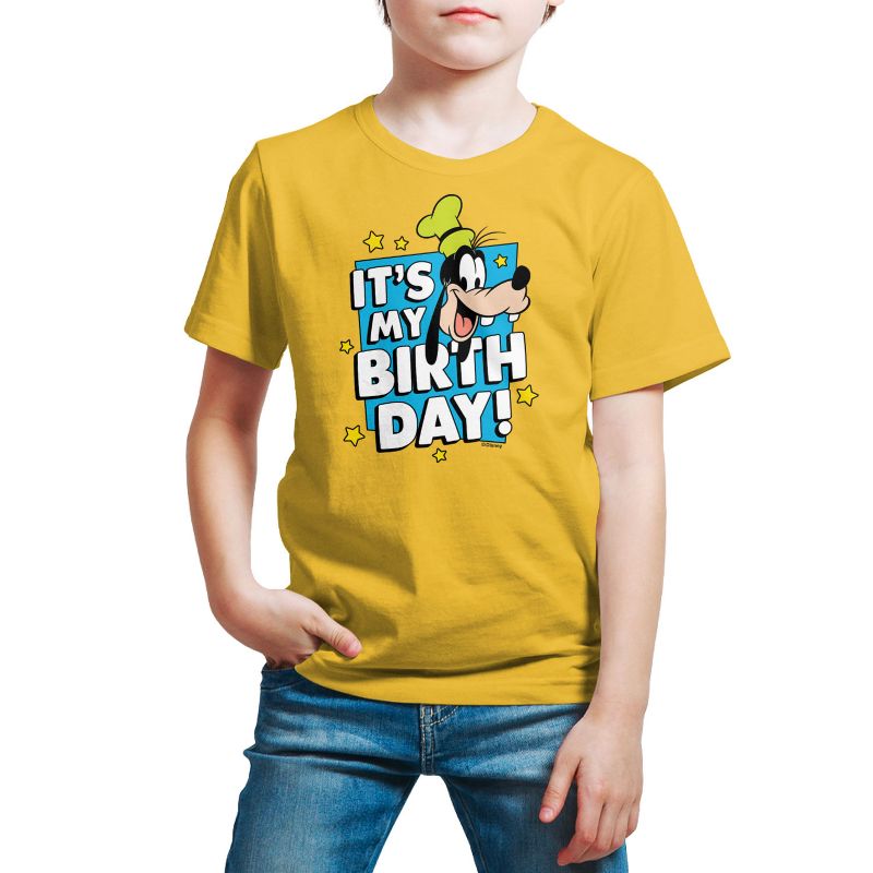 Boys' - Disney - Goofy It's My Birthday Short Sleeve Graphic T-Shirt