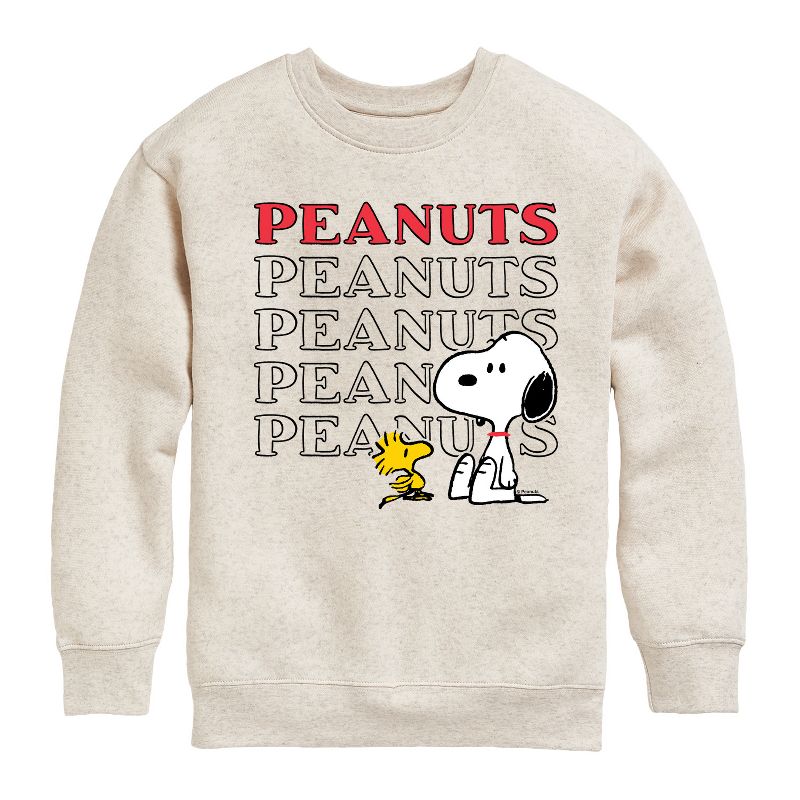 Boys' - Peanuts - Snoopy Woodstock Graphic Long Sleeve Fleece Sweatshirt