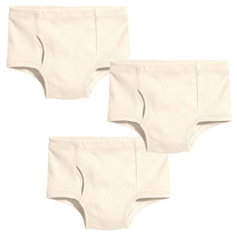 City Threads Boys 100% Organic Cotton Briefs, 3-Pack - USA-Made