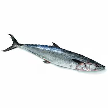 srcMediaId:gid://shopify/MediaImage/32252287156335