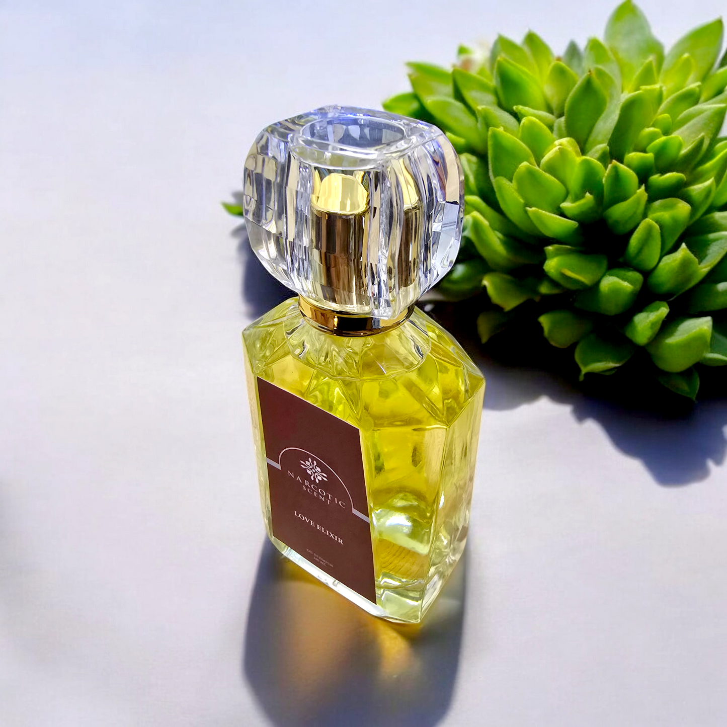 LOVE ELIXIR - FEMALE Perfume