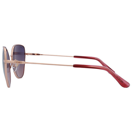 Pink Gradient Cat Eye Ladies Sunglasses