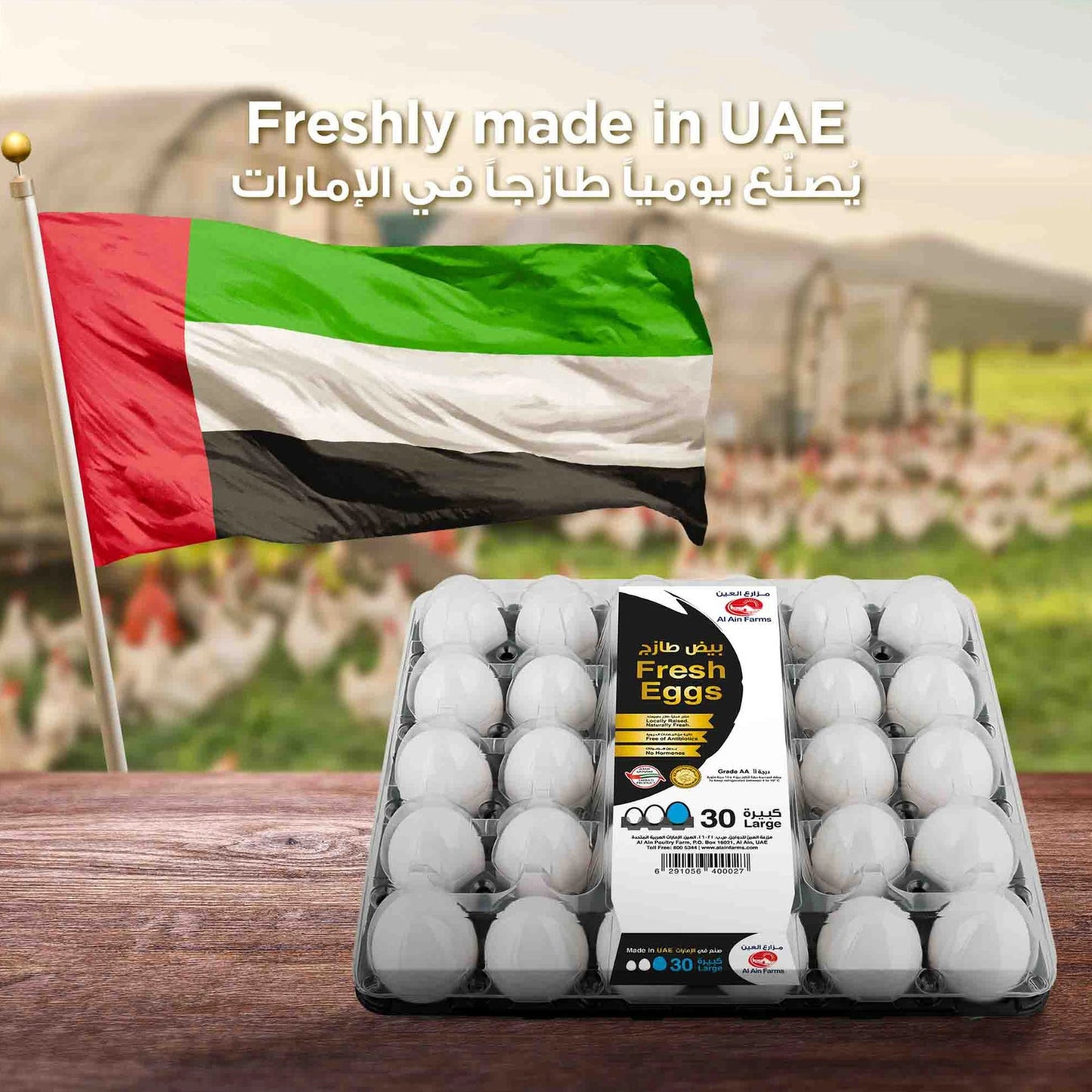 Egg Al Ain 30 egg in 1 Tray