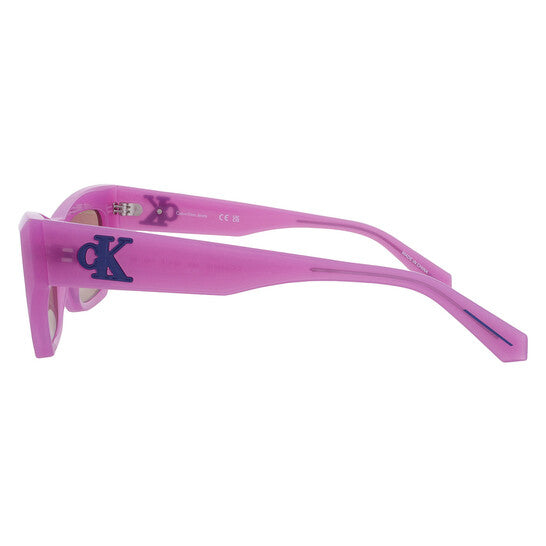 Brown Cat Eye Ladies Sunglasses