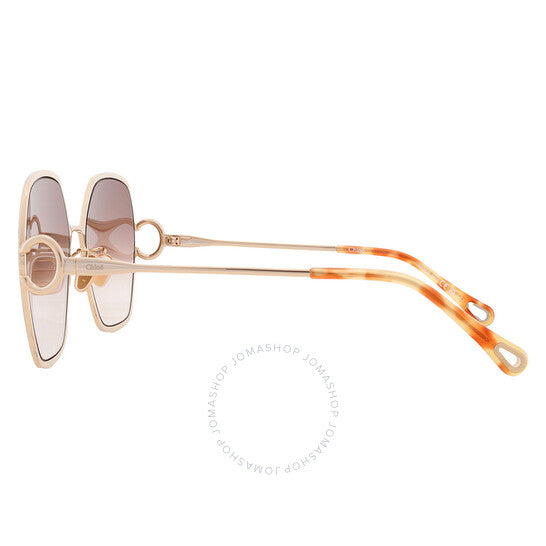 Chloé, Brown Butterfly Ladies Sunglasses