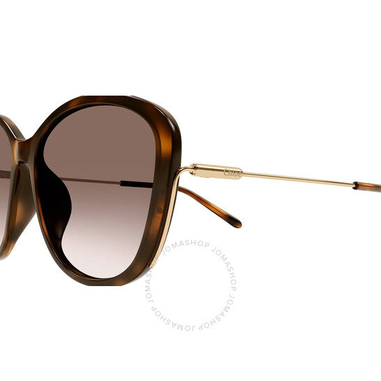 نظارة شمسية نسائية من كلوي، بتصميم فراشة متدرجة اللون، باللون البني