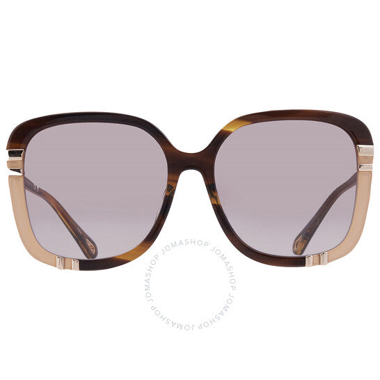 Chloé, Brown Square Ladies Sunglasses