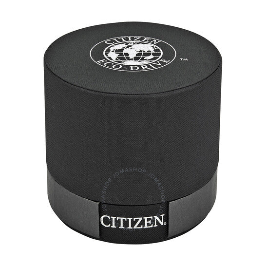 Citizen, Perpetual Calendar Eco-Drive Chronograph Blue Dial Men's Watch
