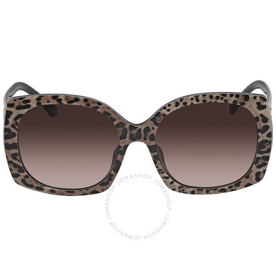 Dolce & Gabbana, Brown Gradient Dark Brown Square Ladies Sunglasses