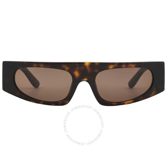 Dolce & Gabbana, Dark Brown Browline Ladies Sunglasses