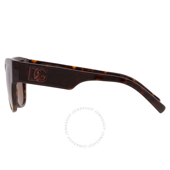 Dolce & Gabbana, Dark Brown Butterfly Ladies Sunglasses