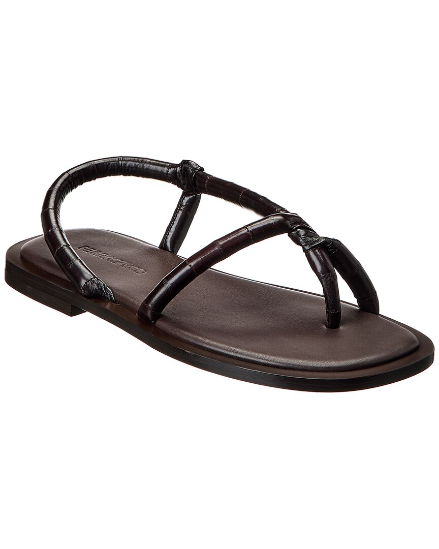 UK 8 - brown