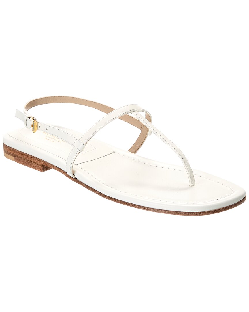 EU 35.5 - white