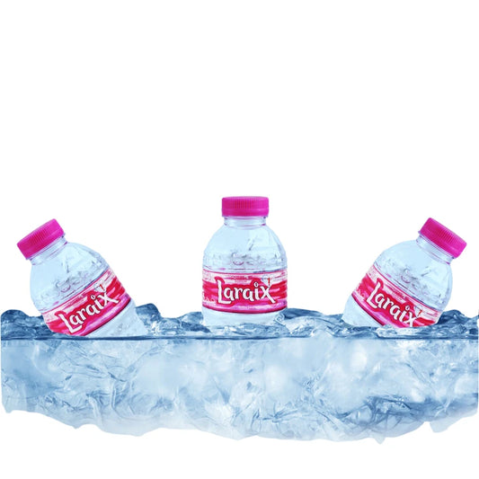 Laraix 24 pcs x 200 ml