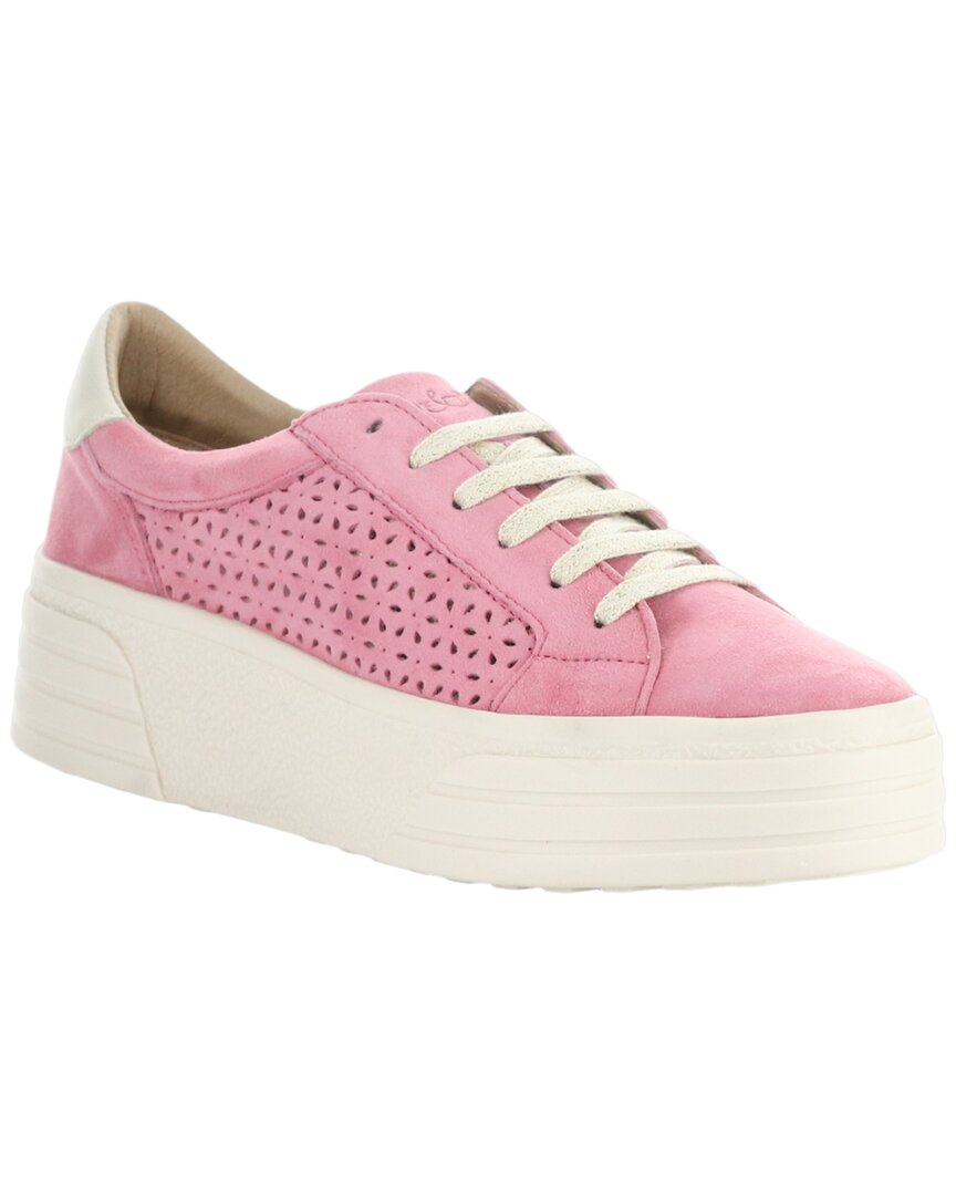 EU 38 - pink