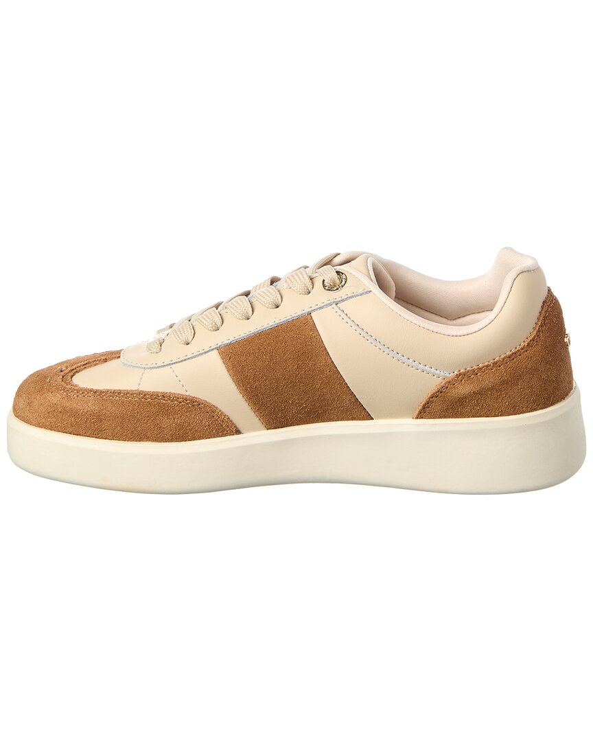enticing suede sneaker
