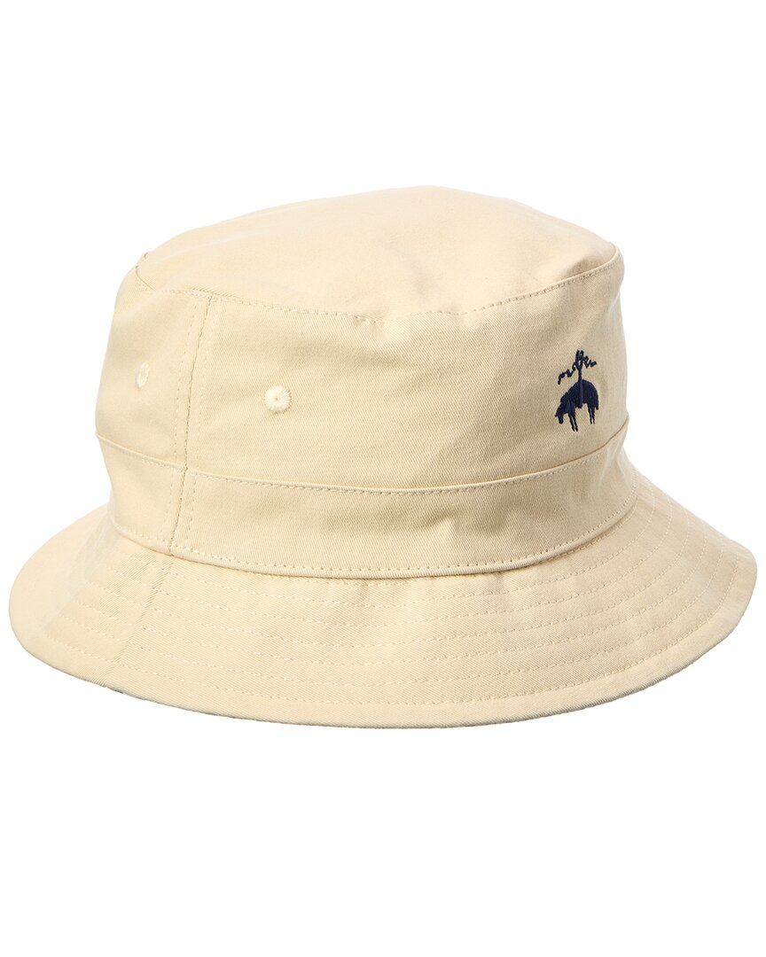 Small/Medium - brown