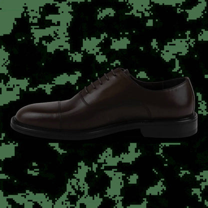 men's diogenes shoe in brown