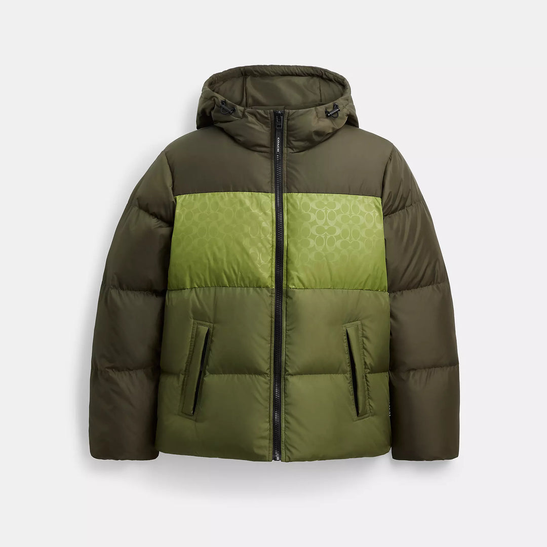 XSmall - green multi