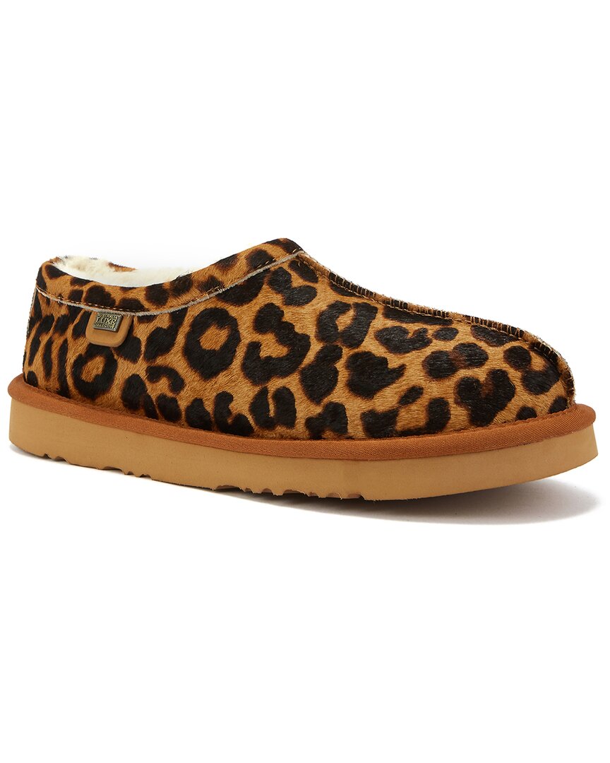 US 6 - leopard