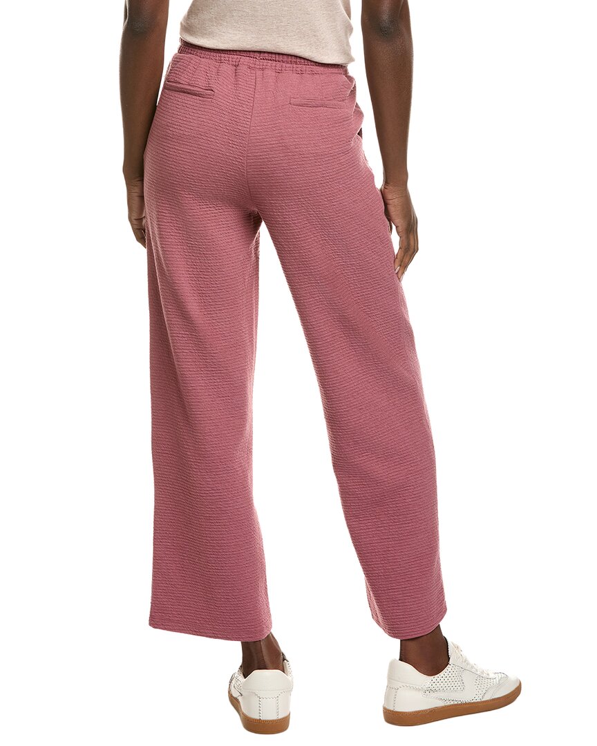 freyi sweatpant