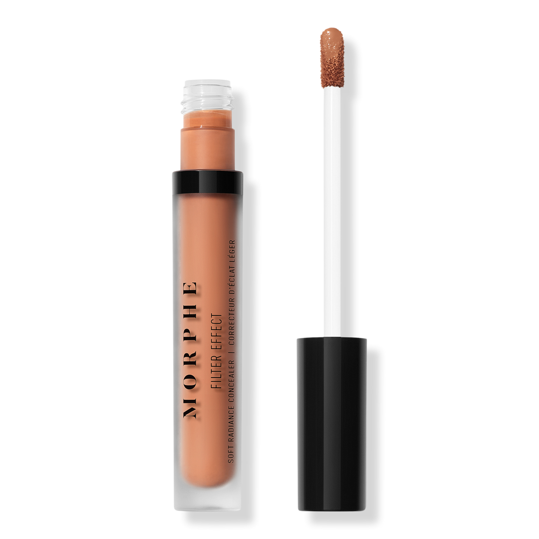 Filter Effect Soft Radiance Concealer