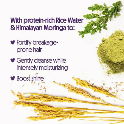 Naturals Rice Water & Himalayan Moringa Superior Strength Shampoo