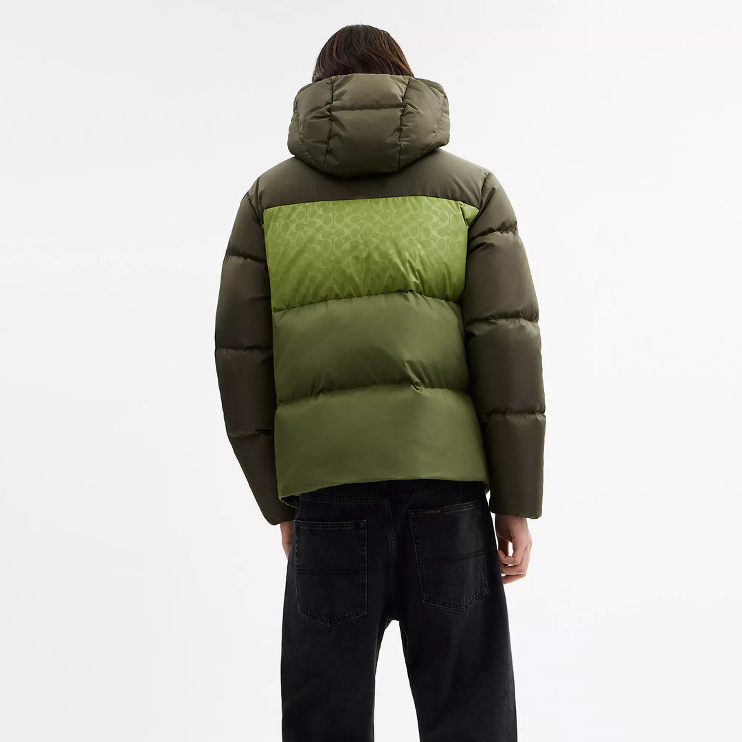 colorblock down jacket