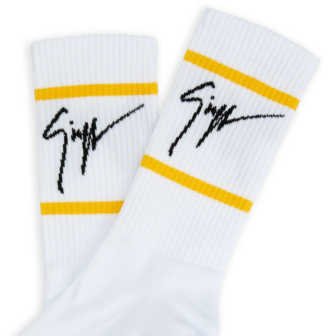 gz-socks