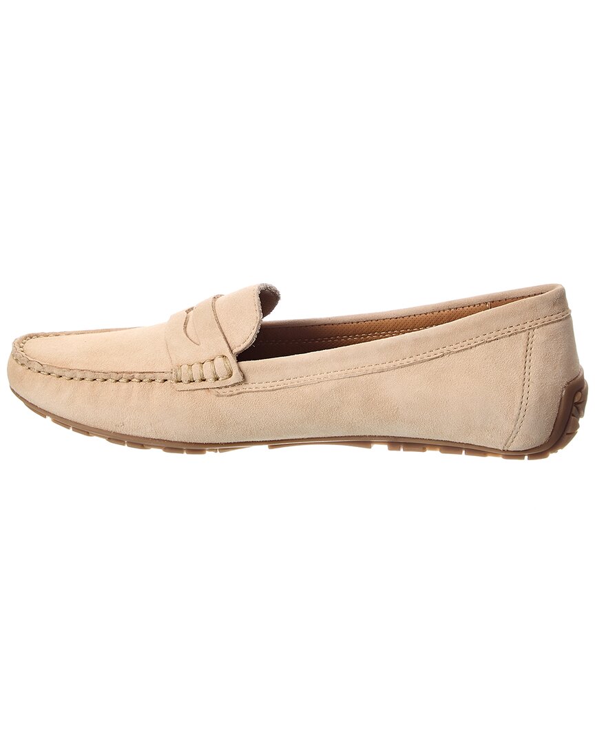 penny suede loafer