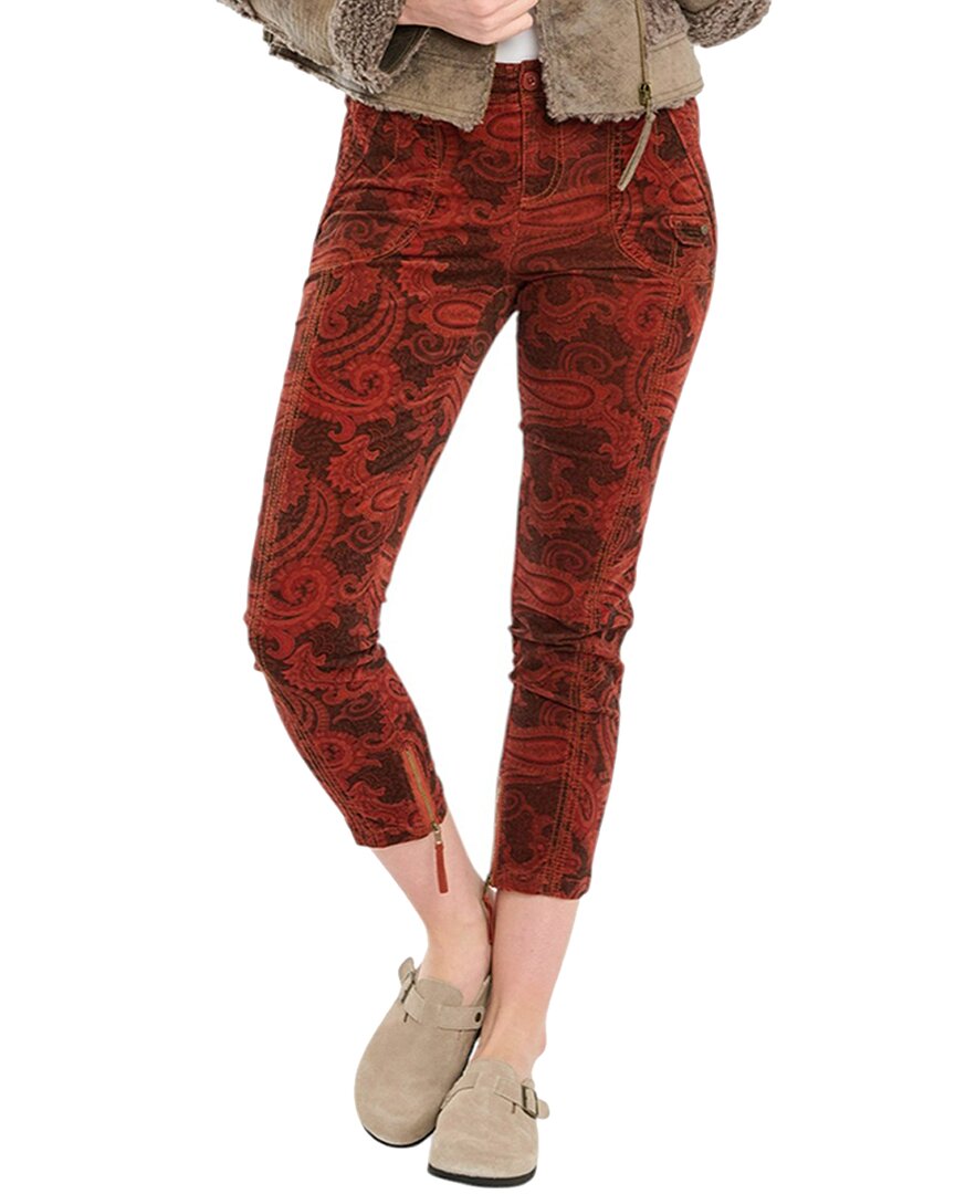 24" Waist - multi