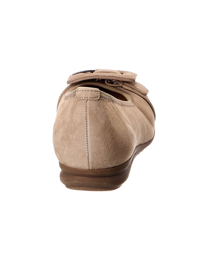 suede ballet flat