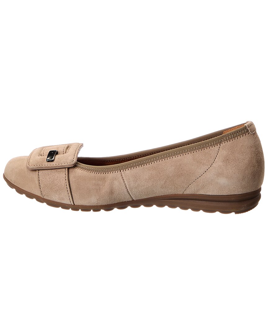 suede ballet flat
