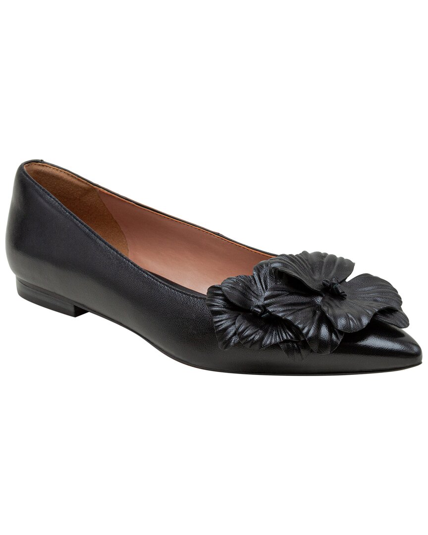 US 5 - black