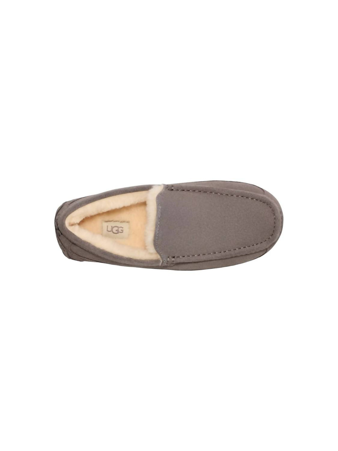 men's ascot suede slipper in grey