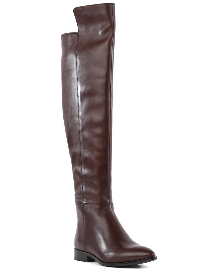 US 6 - brown