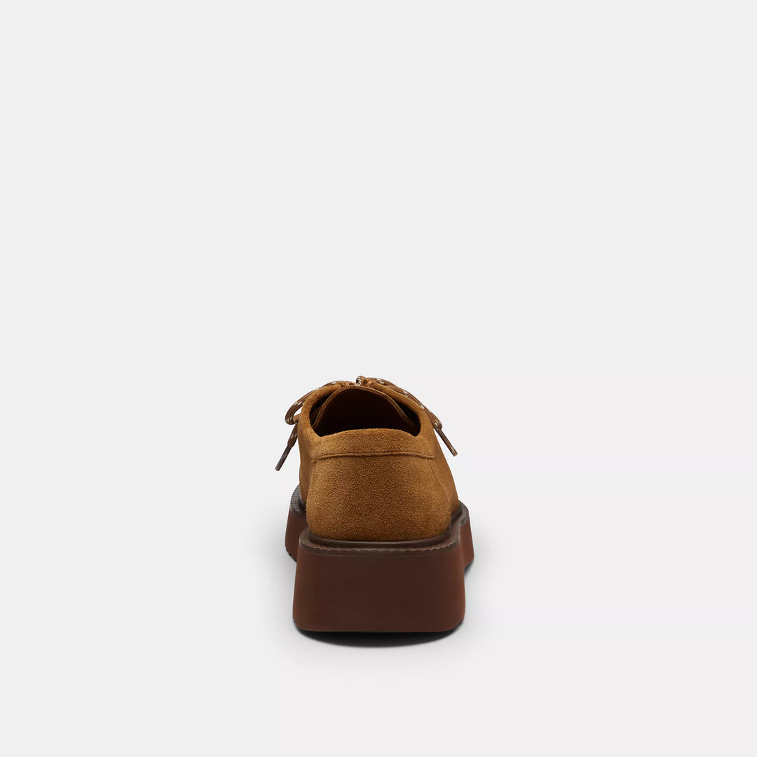 chukka boot in signature suede