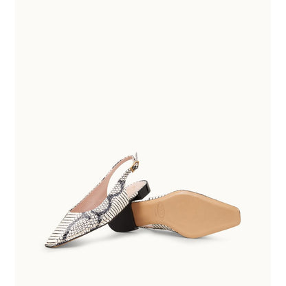 slingback in reptile