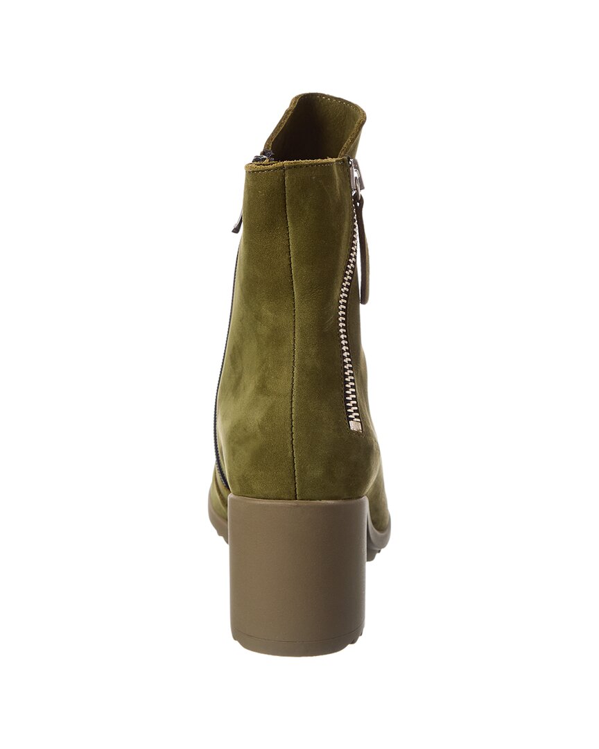 shelba suede boot