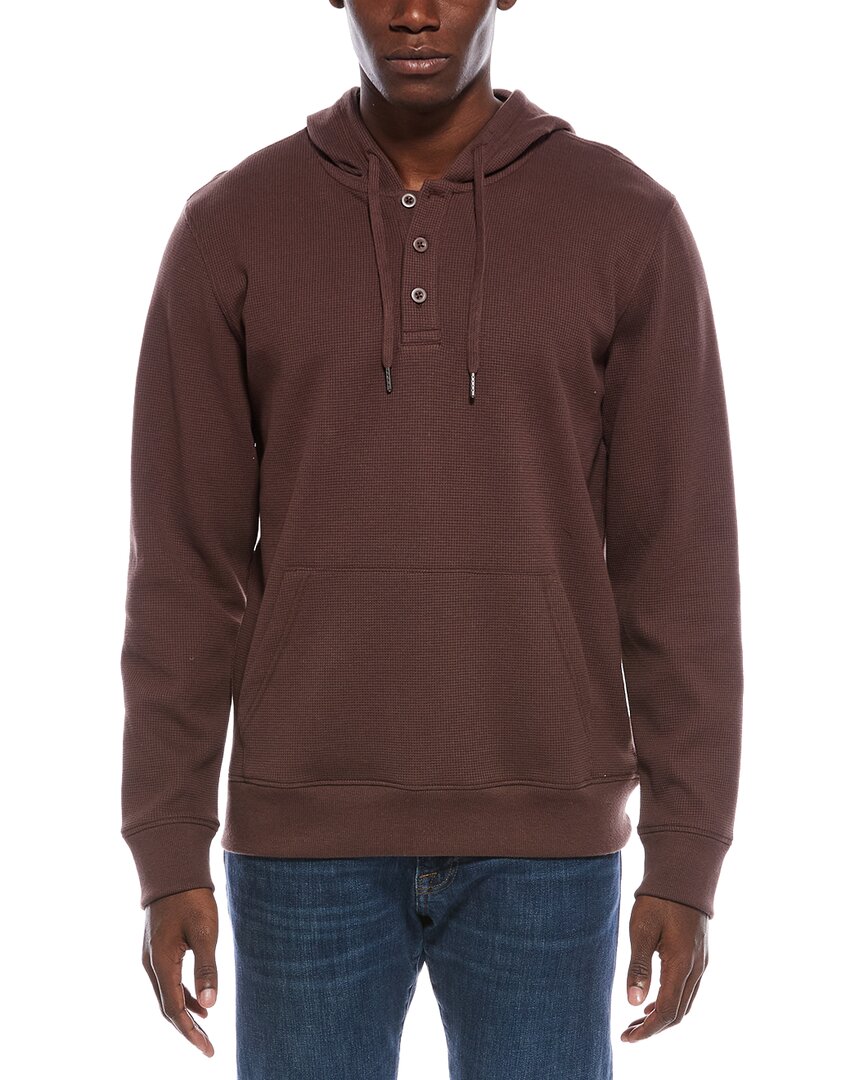 Small - brown